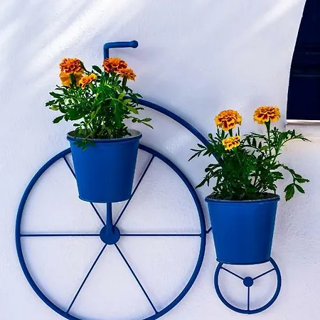 Hotel apartamentowy Dedalos Naxos 4*