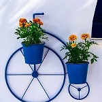 Aparthotel Dedalos Naxos 4*