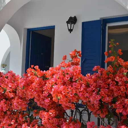 Dedalos Naxos Aparthotel Naxos City