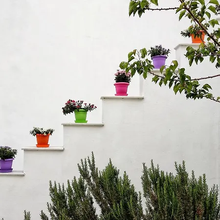 아파트호텔 Dedalos Naxos