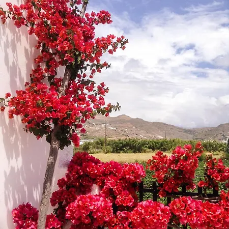 Aparthotel Dedalos Naxos *