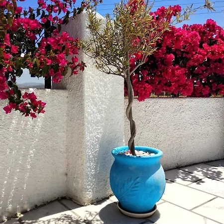 Dedalos Naxos 아파트호텔 Naxos City