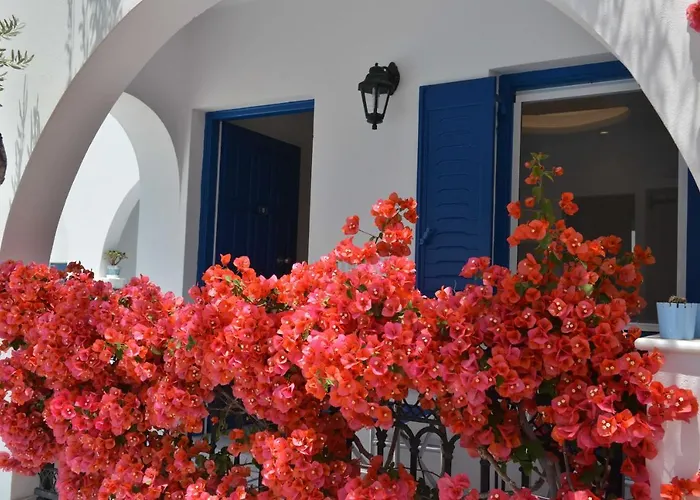 Dedalos Naxos Apartahotel Naxos City