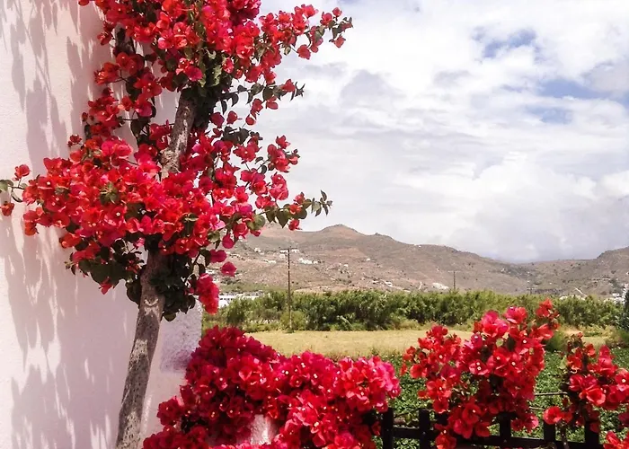 Apartahotel Dedalos Naxos 4*